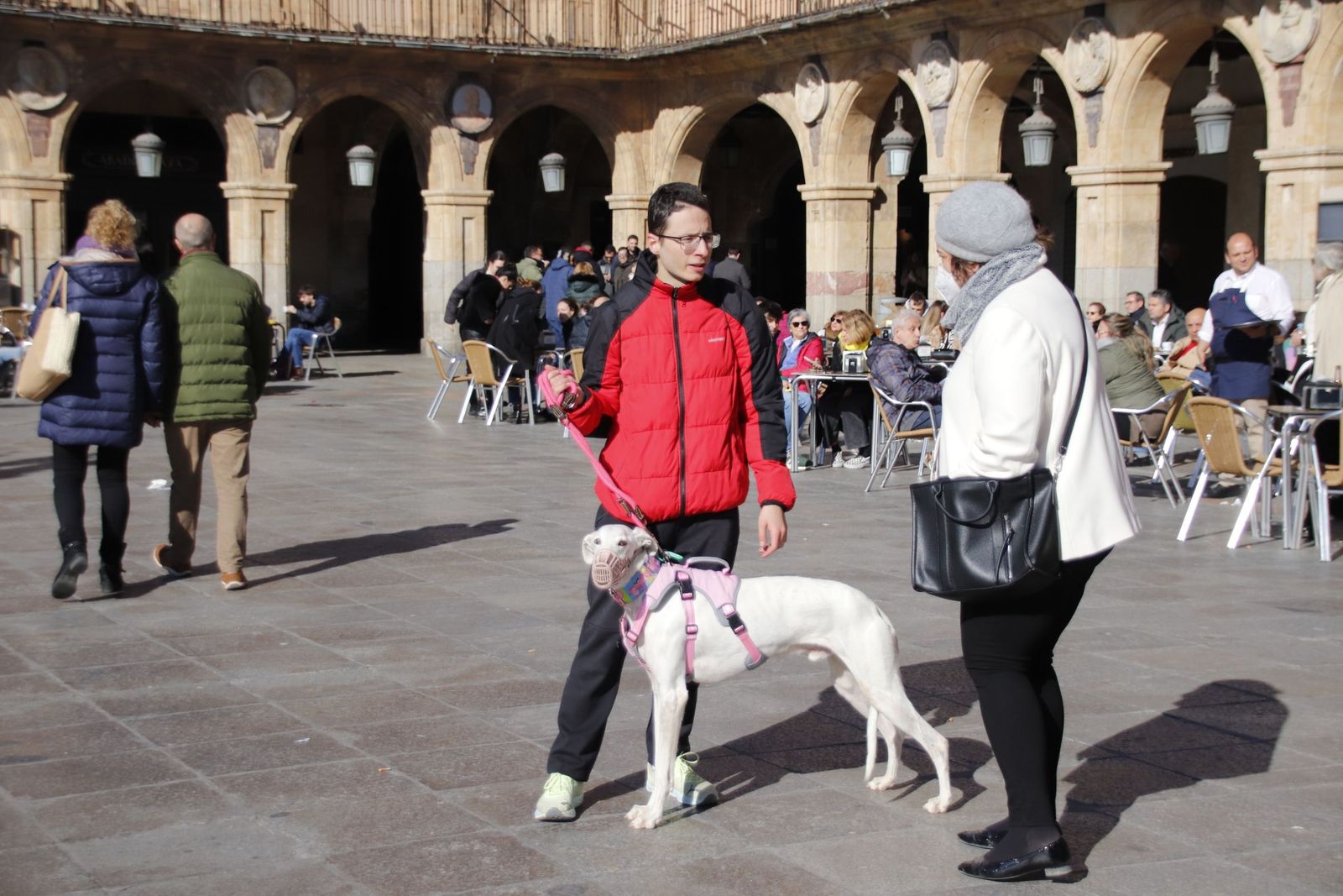 20230205122541-mg-5757