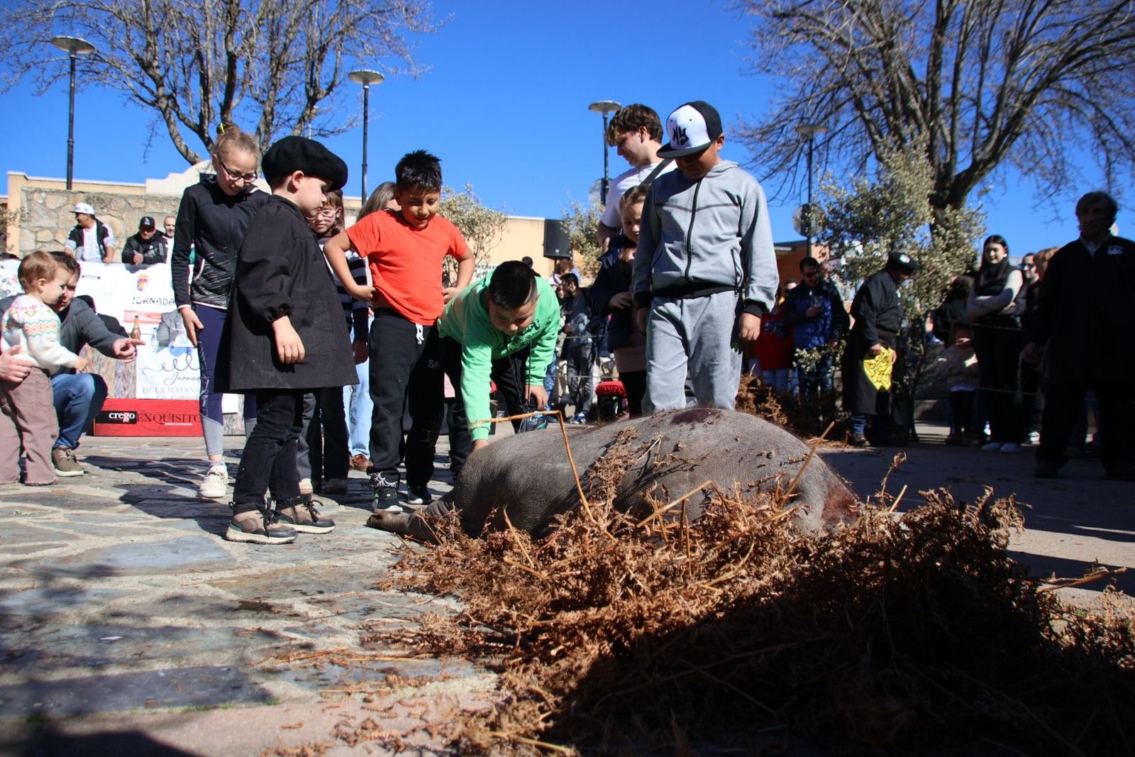 20240203131340-img-4450