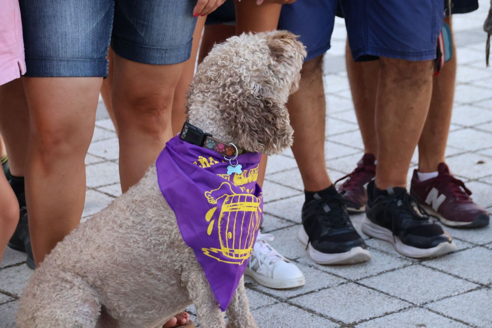 20230816181838-img-2734