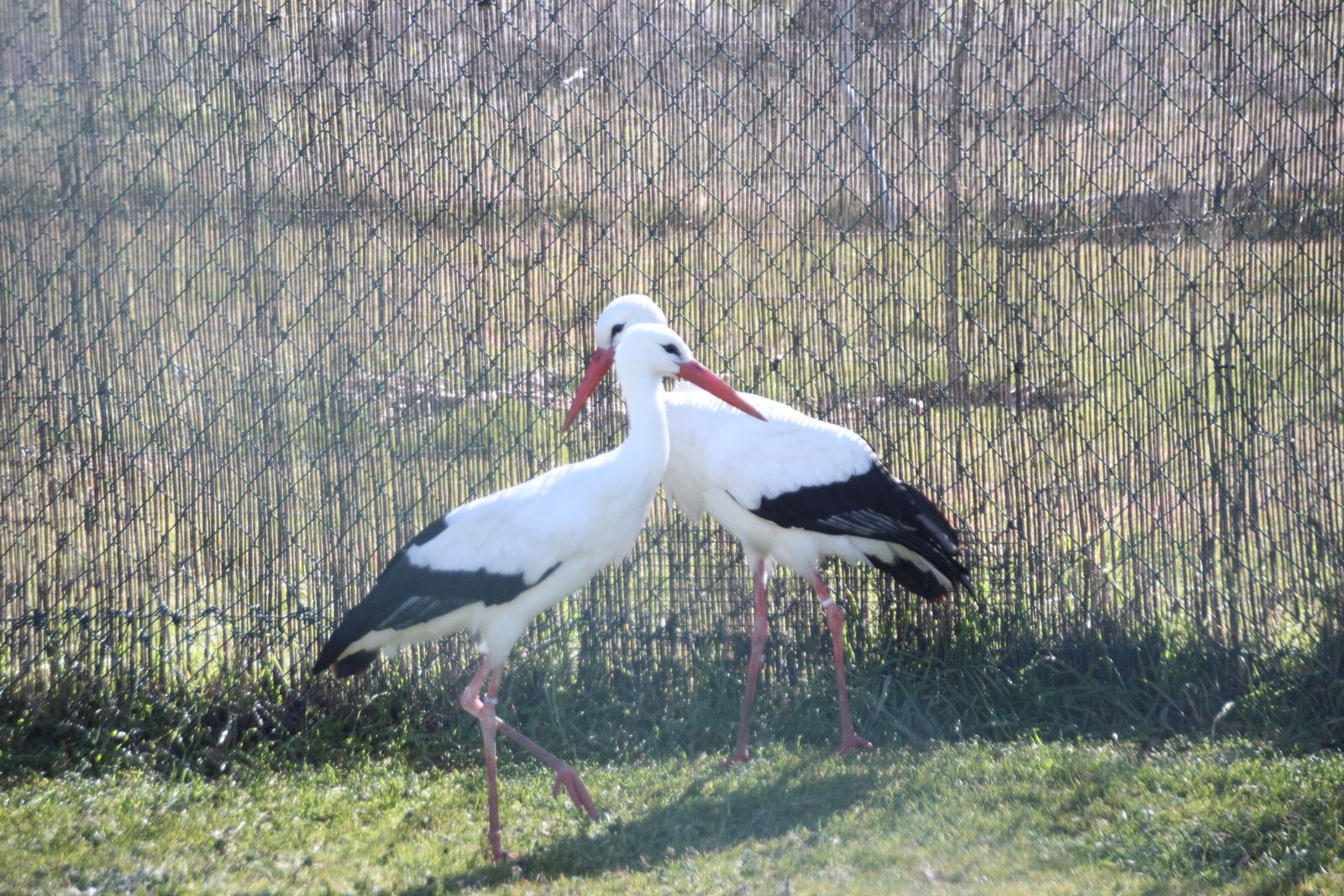 20230304151447-img-1653