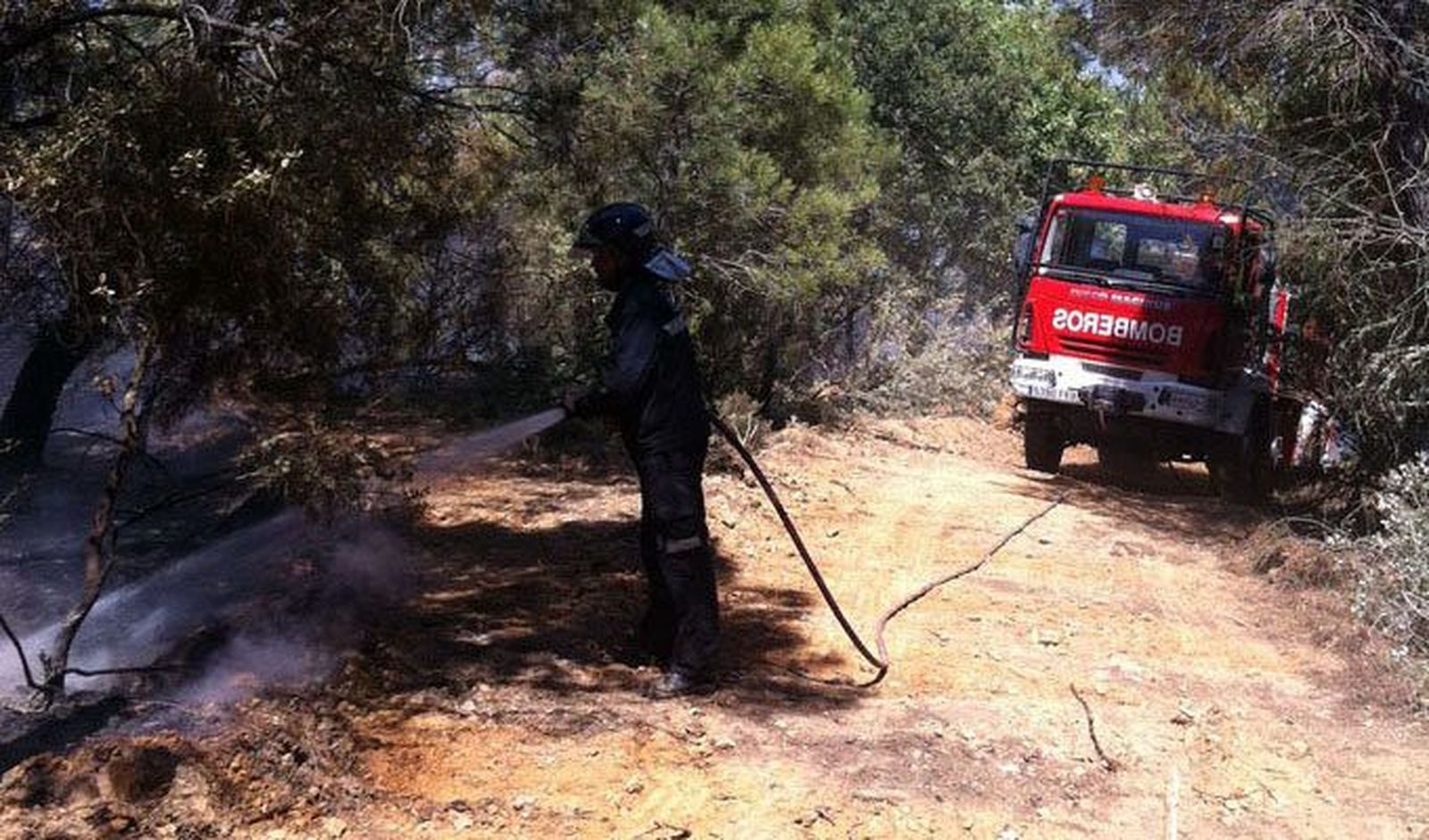 Siguen controlados pero aún sin extinguir los incendios de Pino del Oro y Otero de Bodas