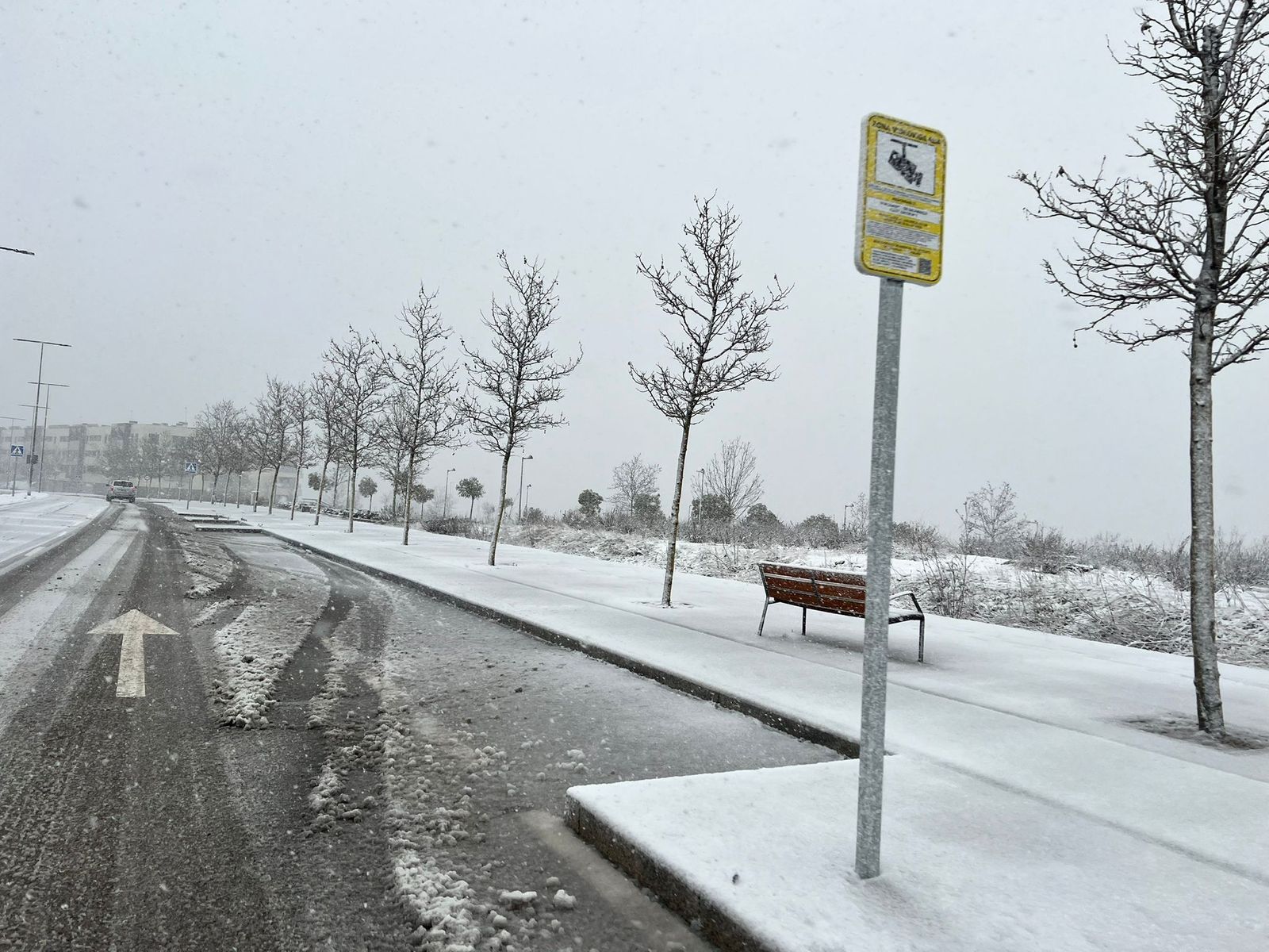 Nevada en Salamanca 28 de enero 2026