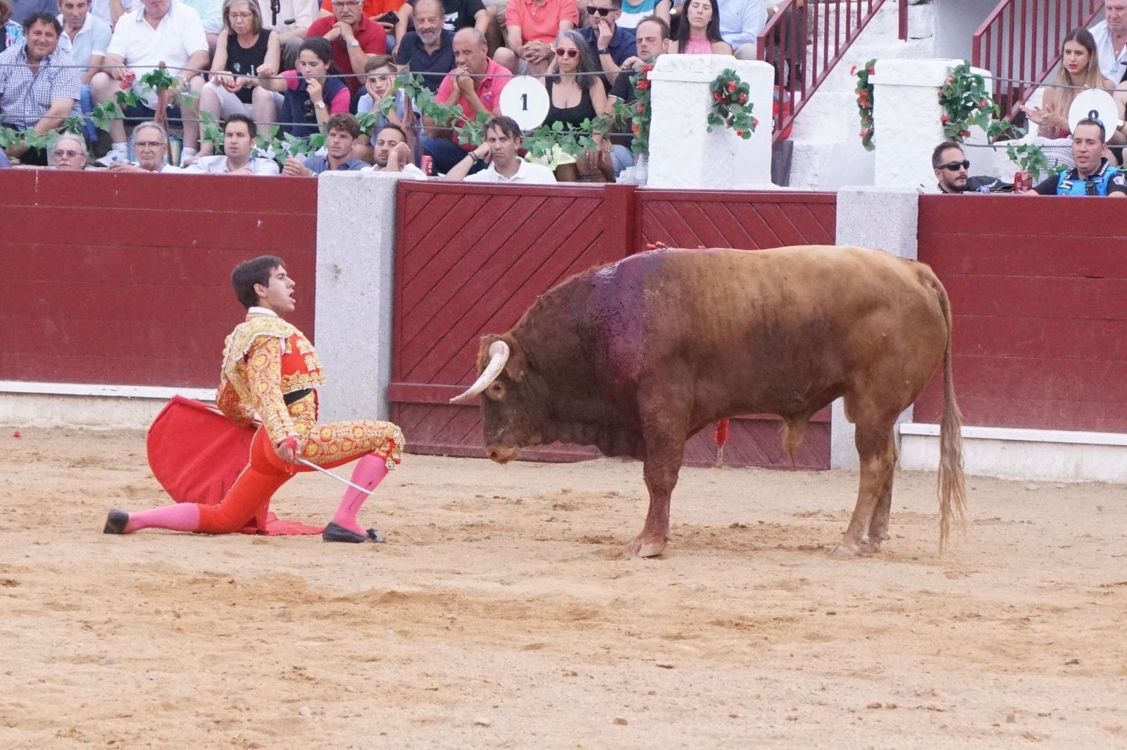 corrida-rejones-guijuelo-10