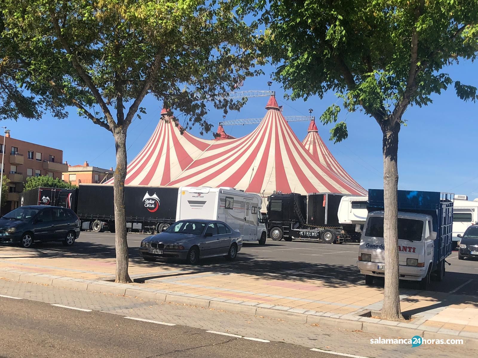 Circo (3)