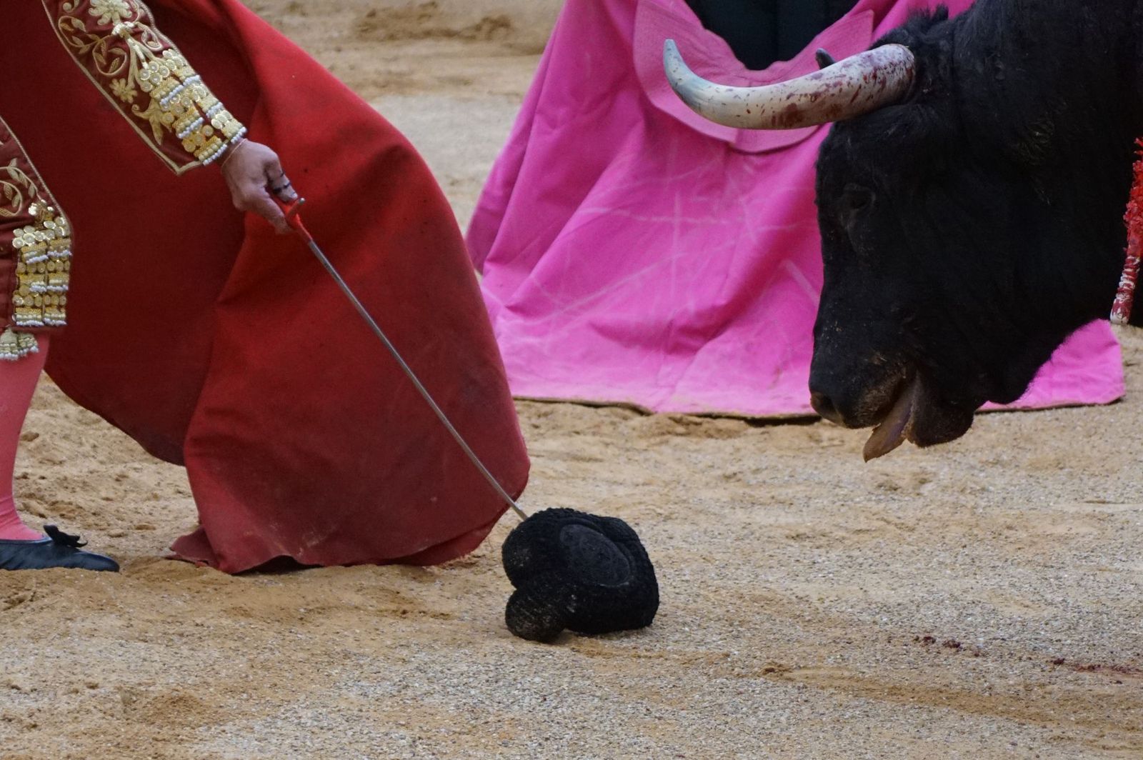 Javier Castaño se despide de Guijuelo y Damián Castaño, su hermano, e Ismael Martín salen a hombros en Guijuelo