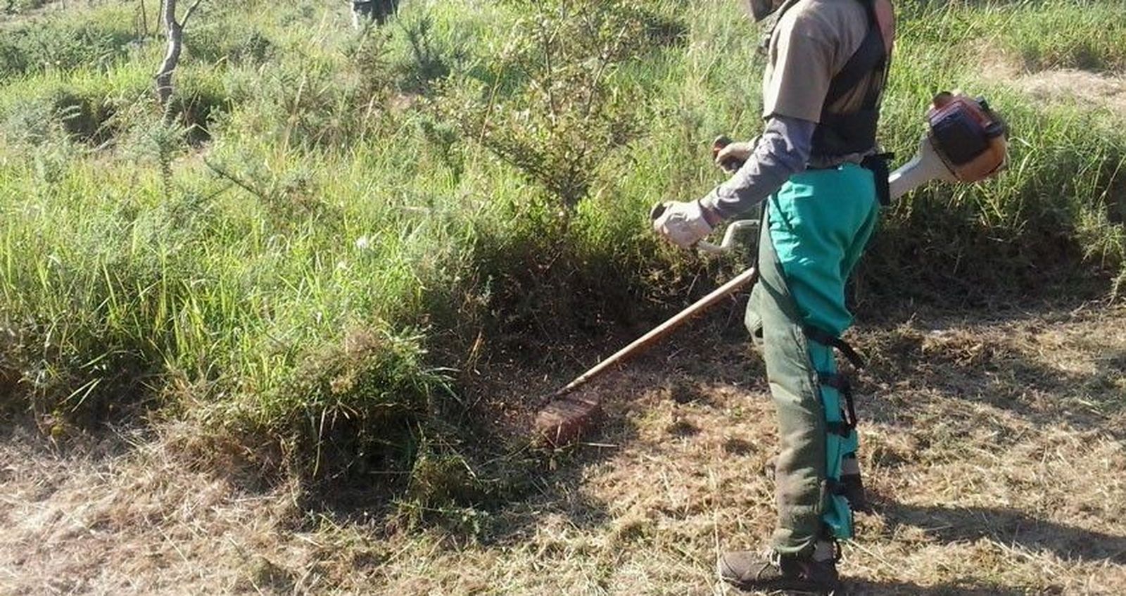 Desbroces de parcelas