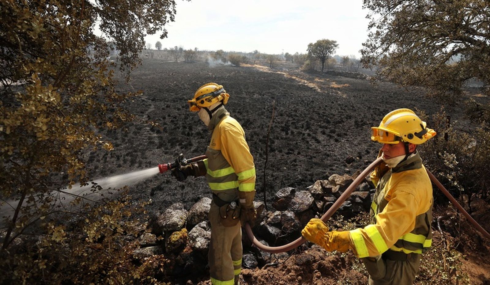 Así ha sido la actución de los Servicios de Extinción para sofocar el incendio en Castillejo de Martín Viejo
