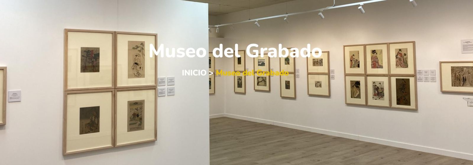 Página web del Museo del Grabado y Obra Múltiple de Santa Marta de Tormes