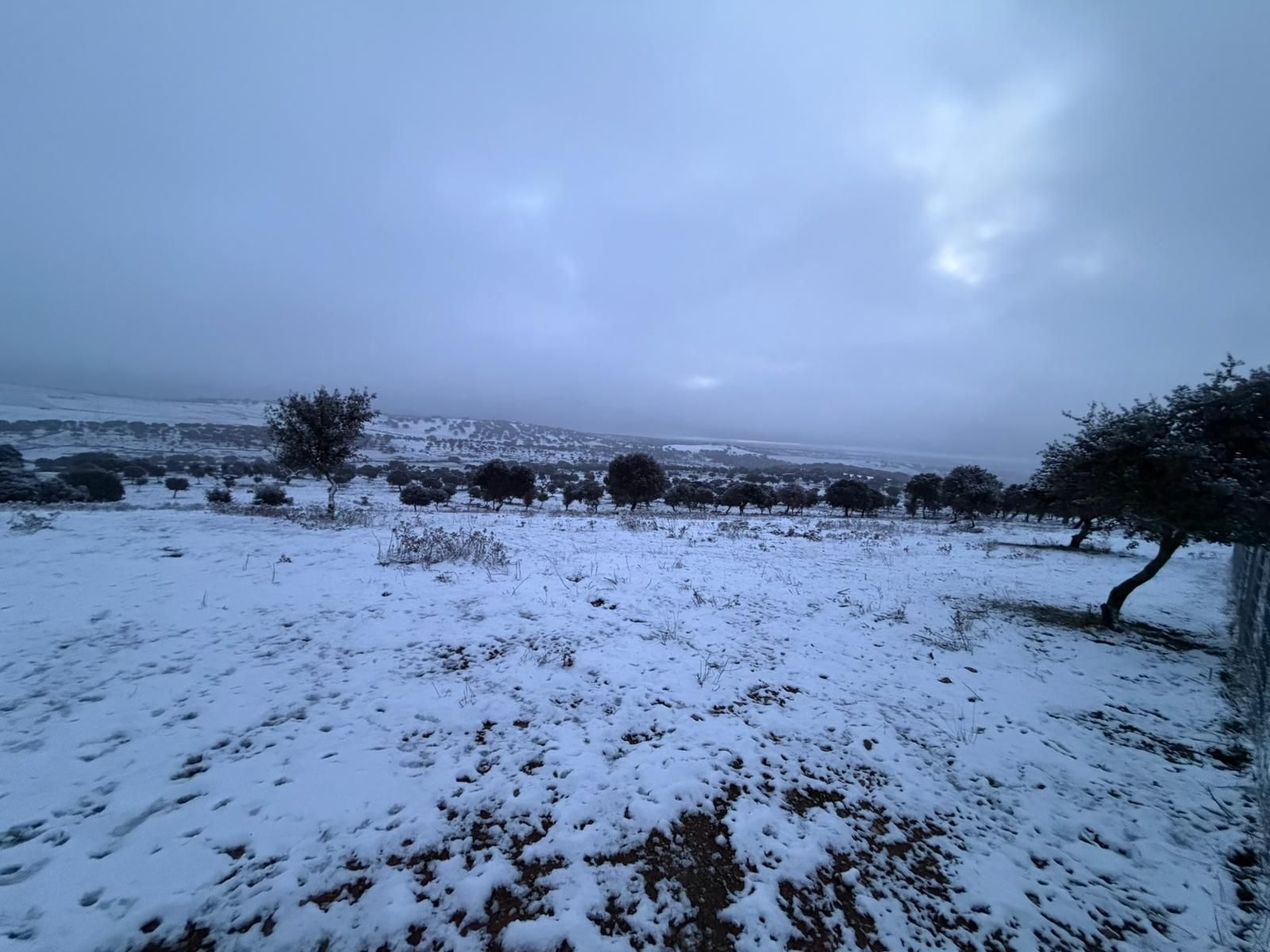 Nieve en Cuatro Calzadas y Guijuelo este sábado