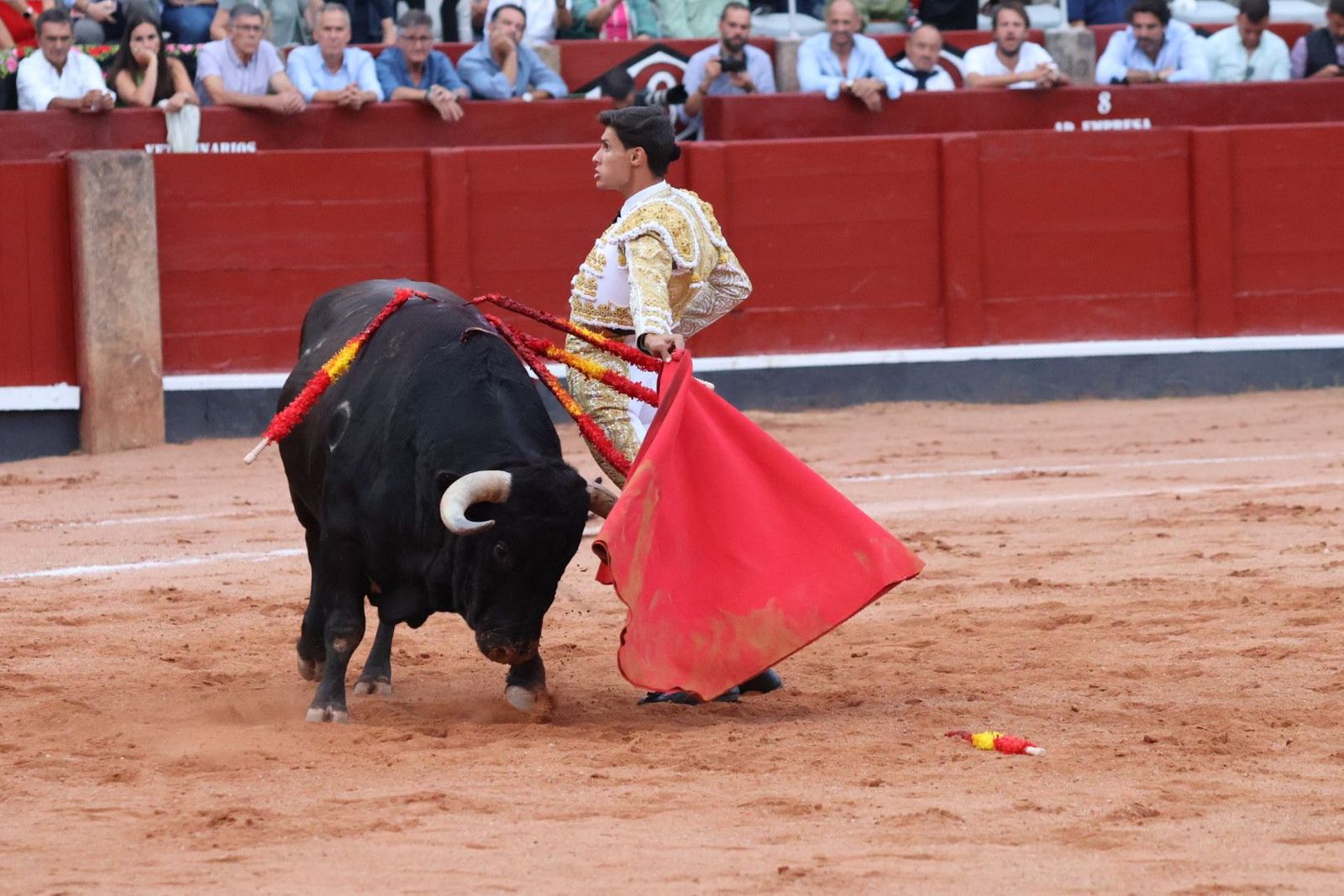 20230910192222-img-2296