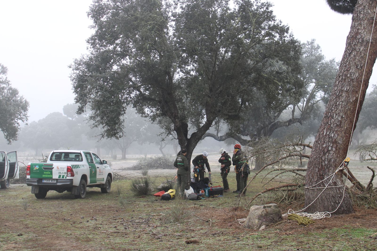 grupo-de-intervenciones-en-altura-reparacion-nido-cigueena-negra-en-espeja-9