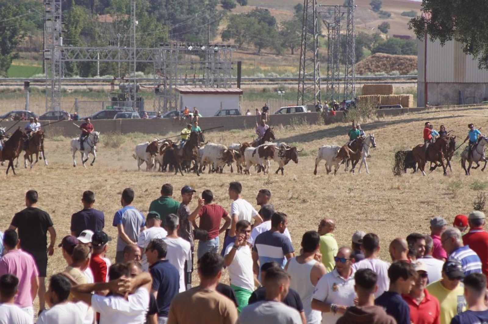 espantes-de-fuentesauco-42