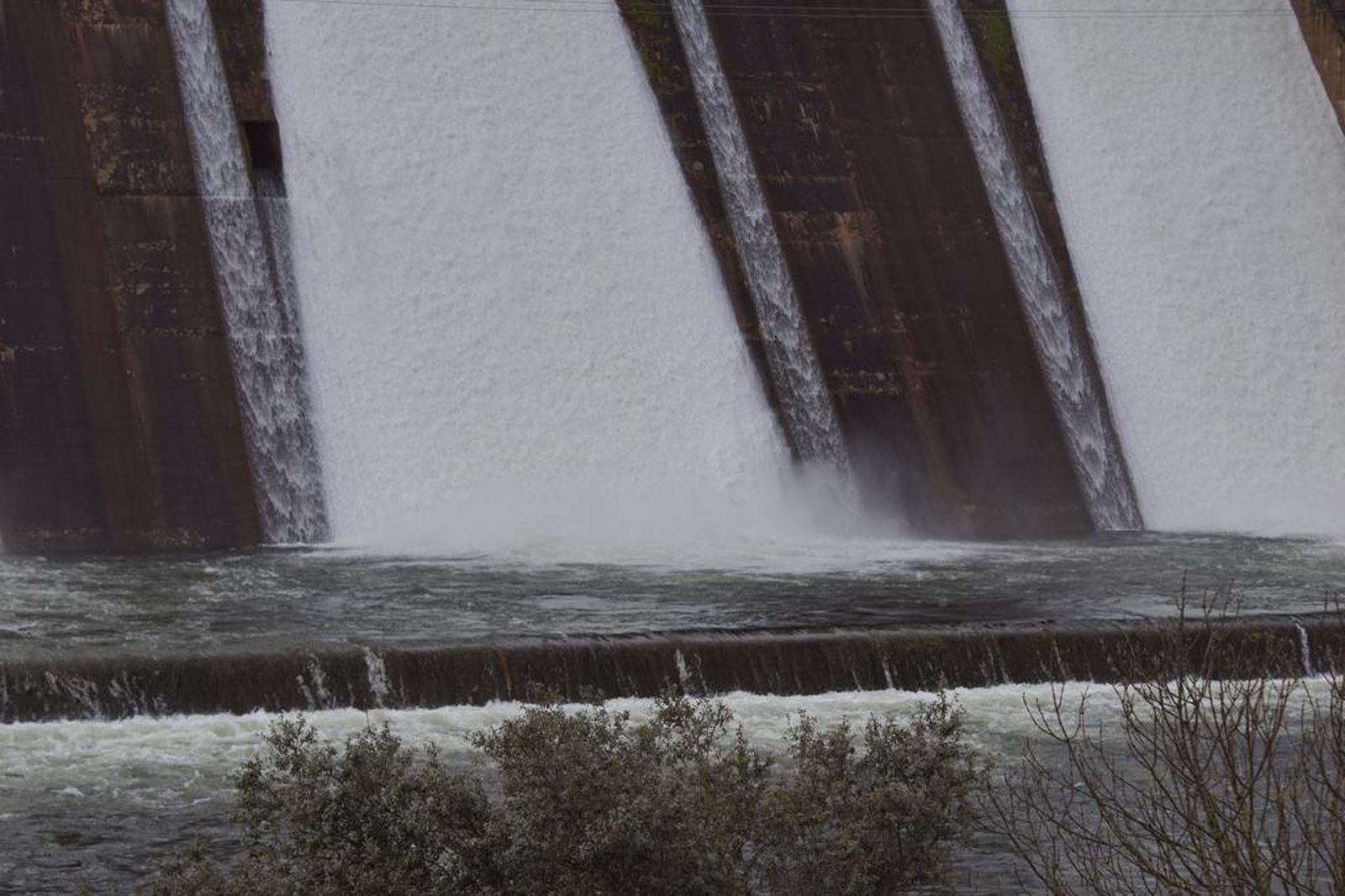 whatsapp-image-2024-03-30-at-10-44-51