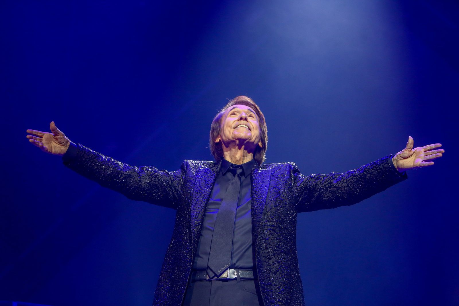 Raphael, en el concierto de este sábado en Madrid. | FOTO: EUROPA PRESS