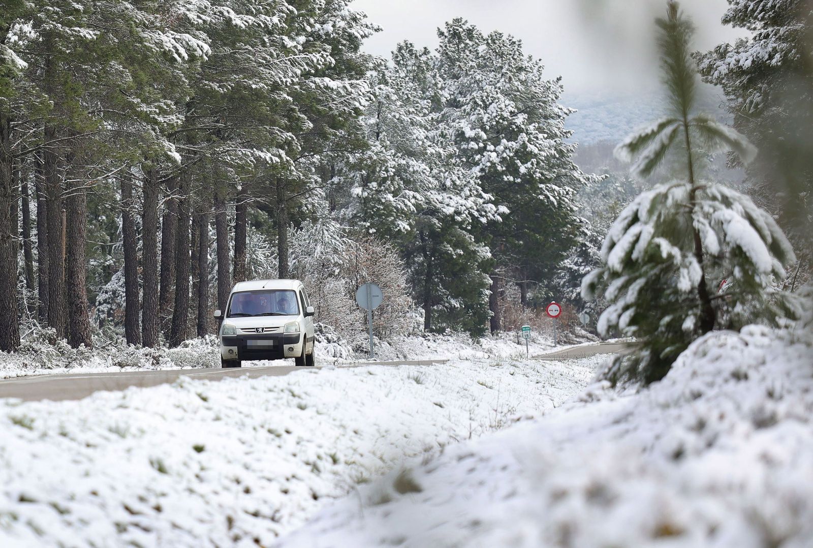 nieve-en-el-sur-de-salamanca-ical-vicente-4
