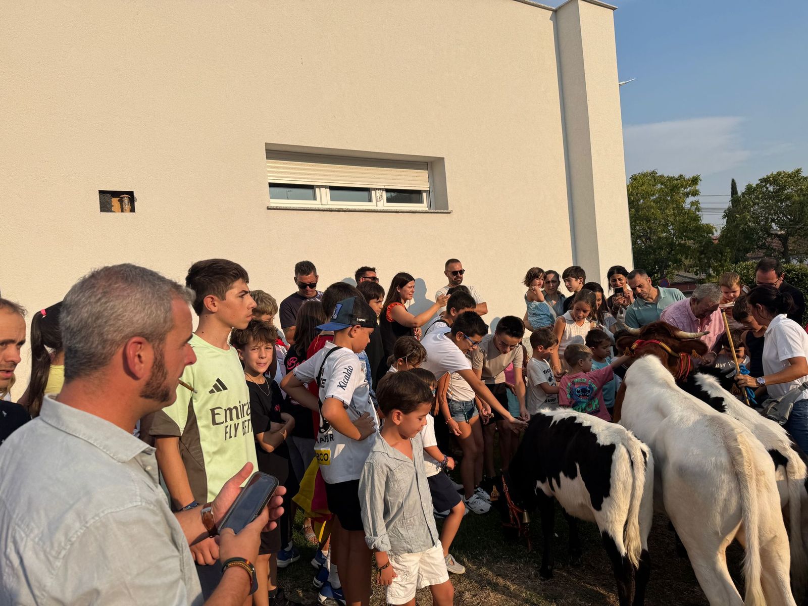 Encierro infantil de Mini Bueyes en Guijuelo durante sus fiestas 2025