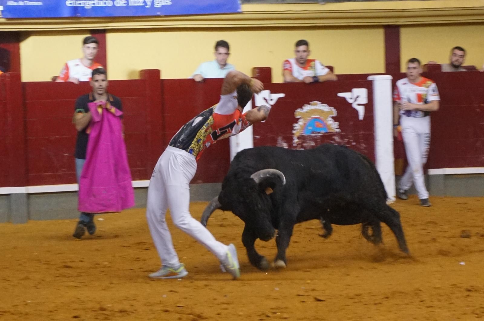 Alba de Tormes celebra un nuevo concurso de cortes