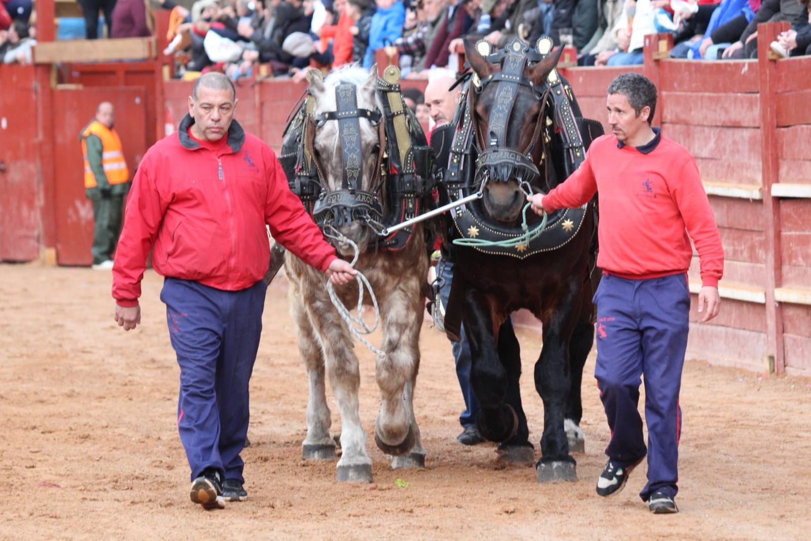 whatsapp-image-2023-02-21-at-17-35-08