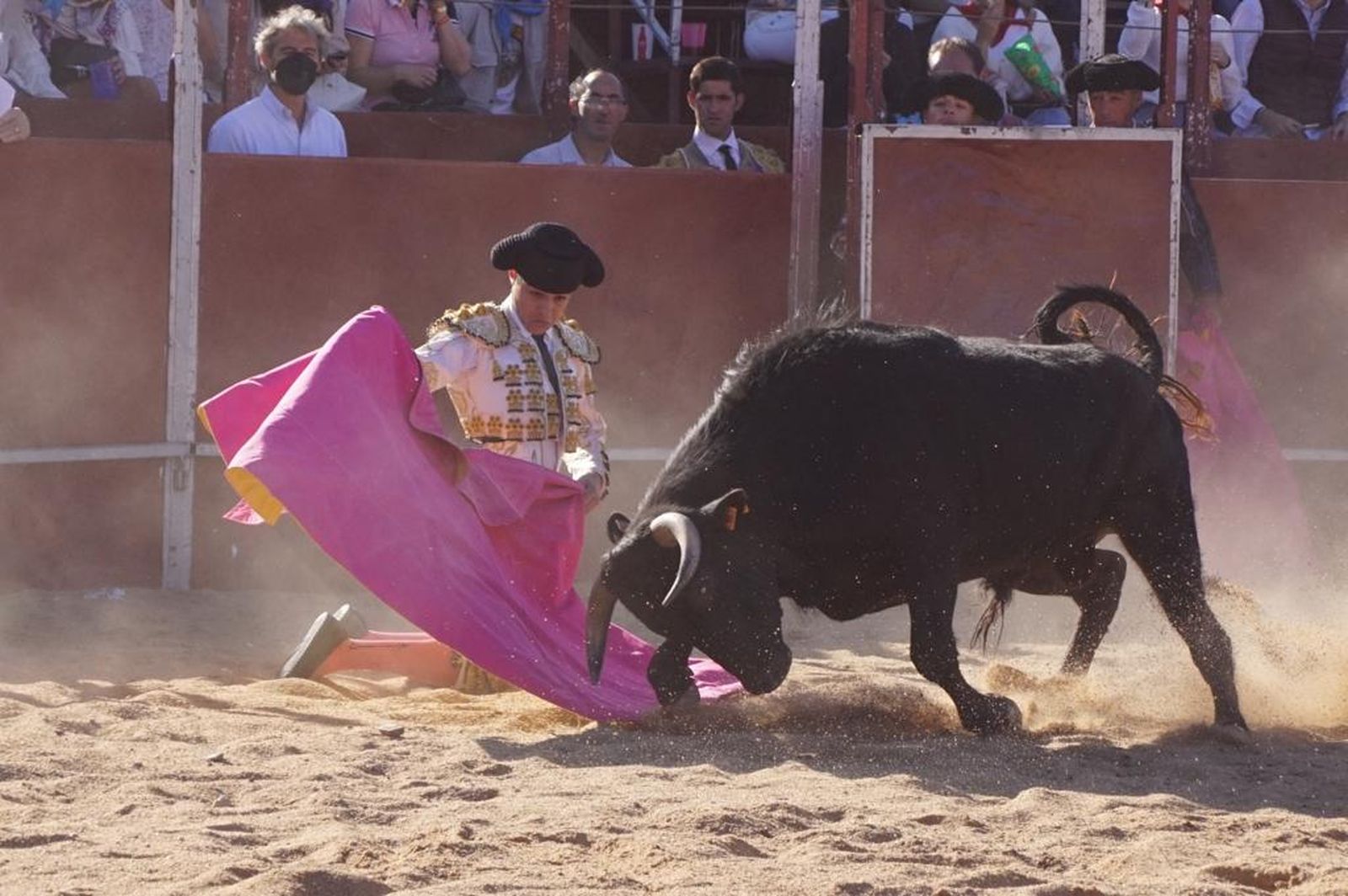 Novillada sin picadores en Carrascal de Barregas