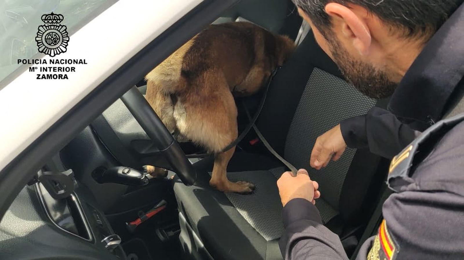Registro de uno de los vehículos por parte de la Policía Nacional