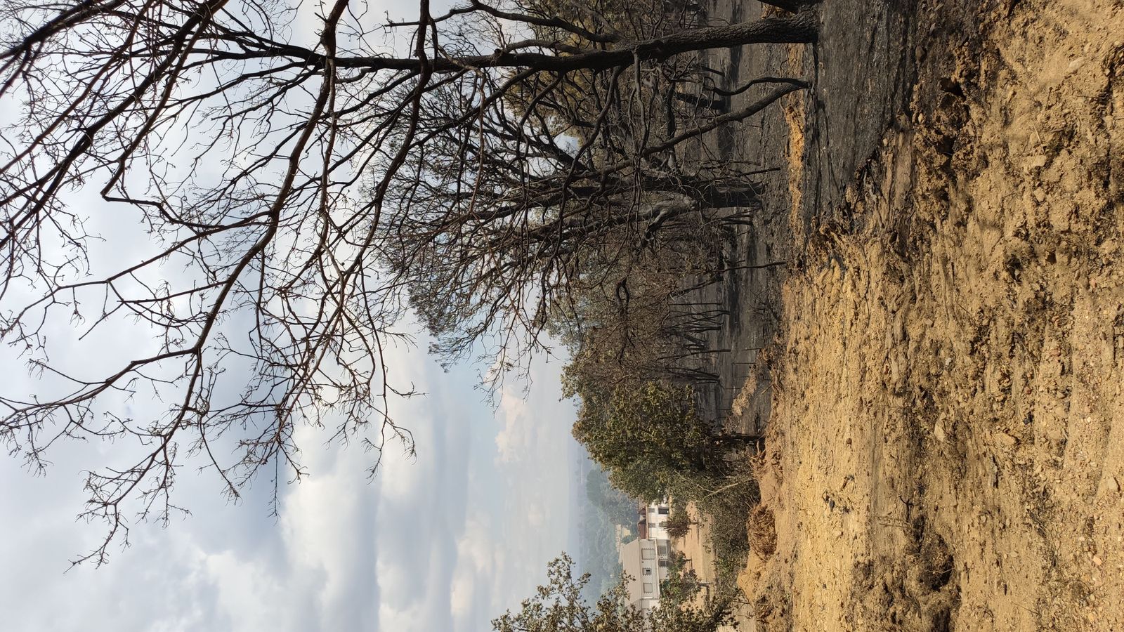 las-desoladoras-imagenes-de-la-sierra-de-la-culebra-tras-el-incendio-19