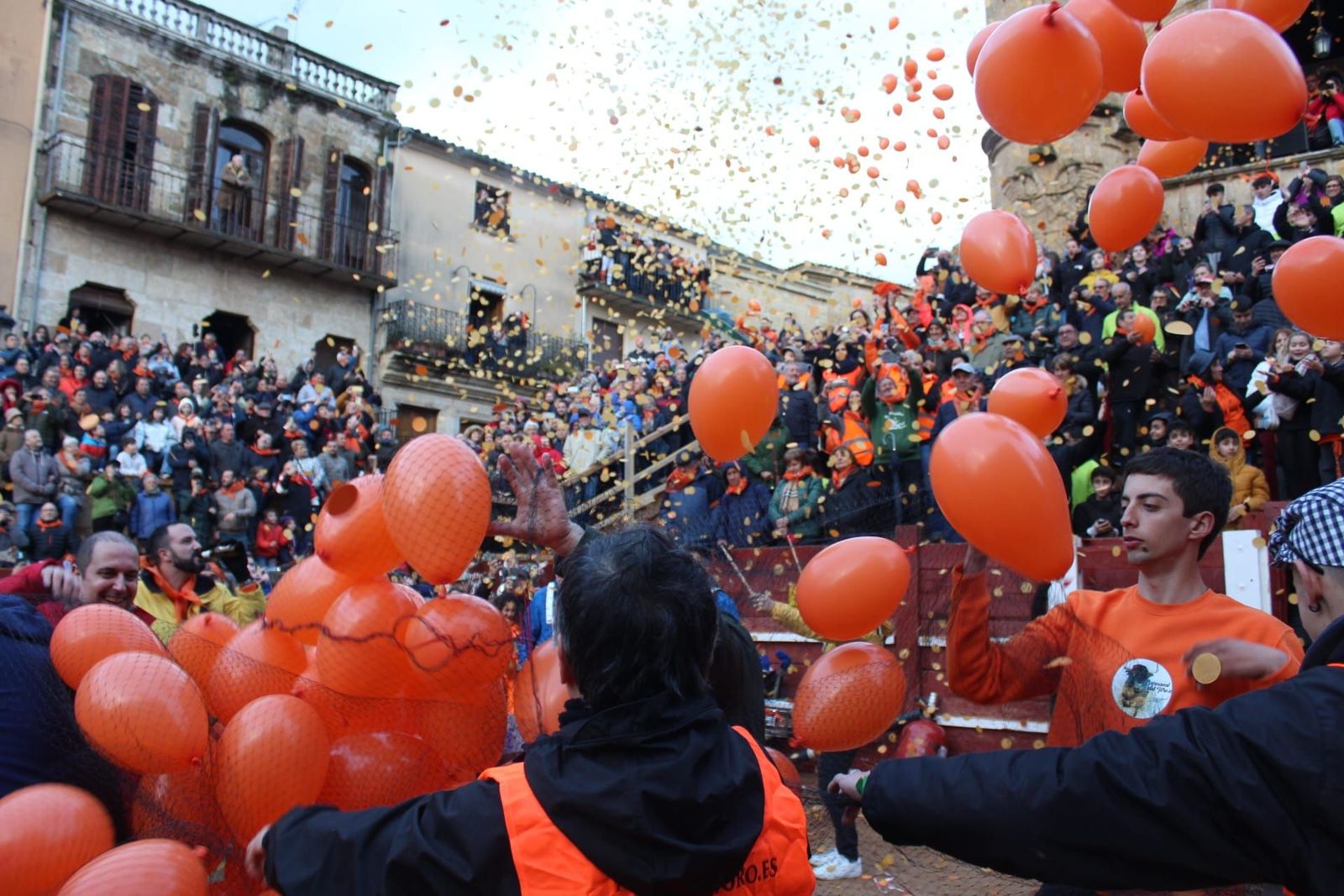 whatsapp-image-2024-02-09-at-18-45-37