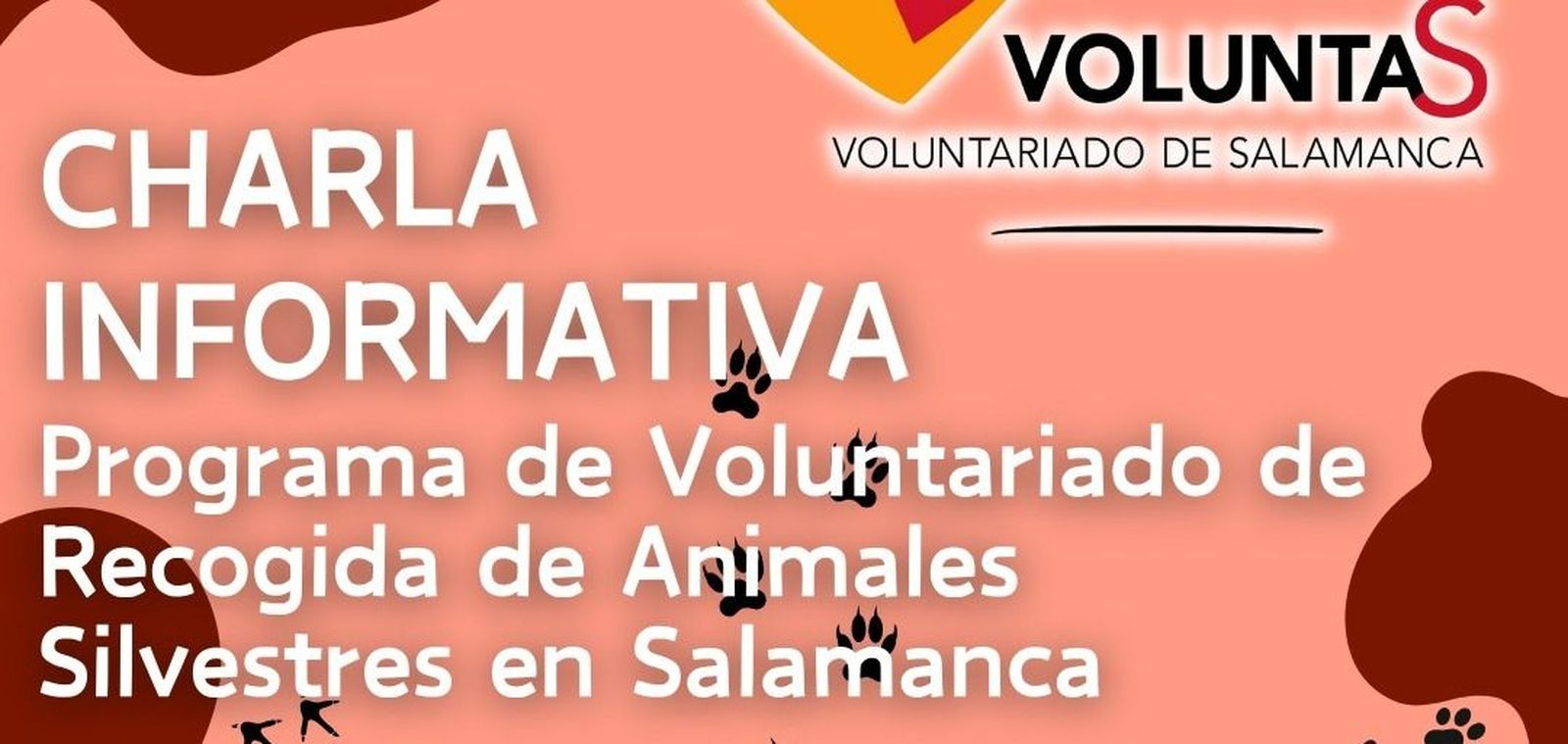 Curso de voluntariado en recogida de animales silvestres
