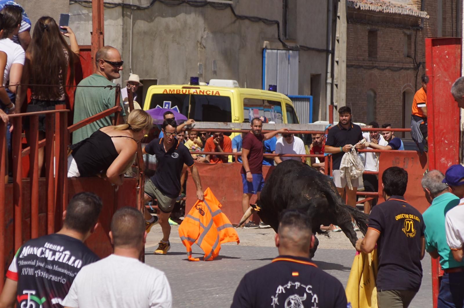 toro-de-cajon-de-castrillo-de-la-guarena-fotos-juanes-43