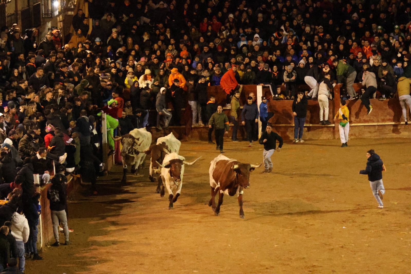 Capea Nocturna del Viernes en Ciudad Rodrigo