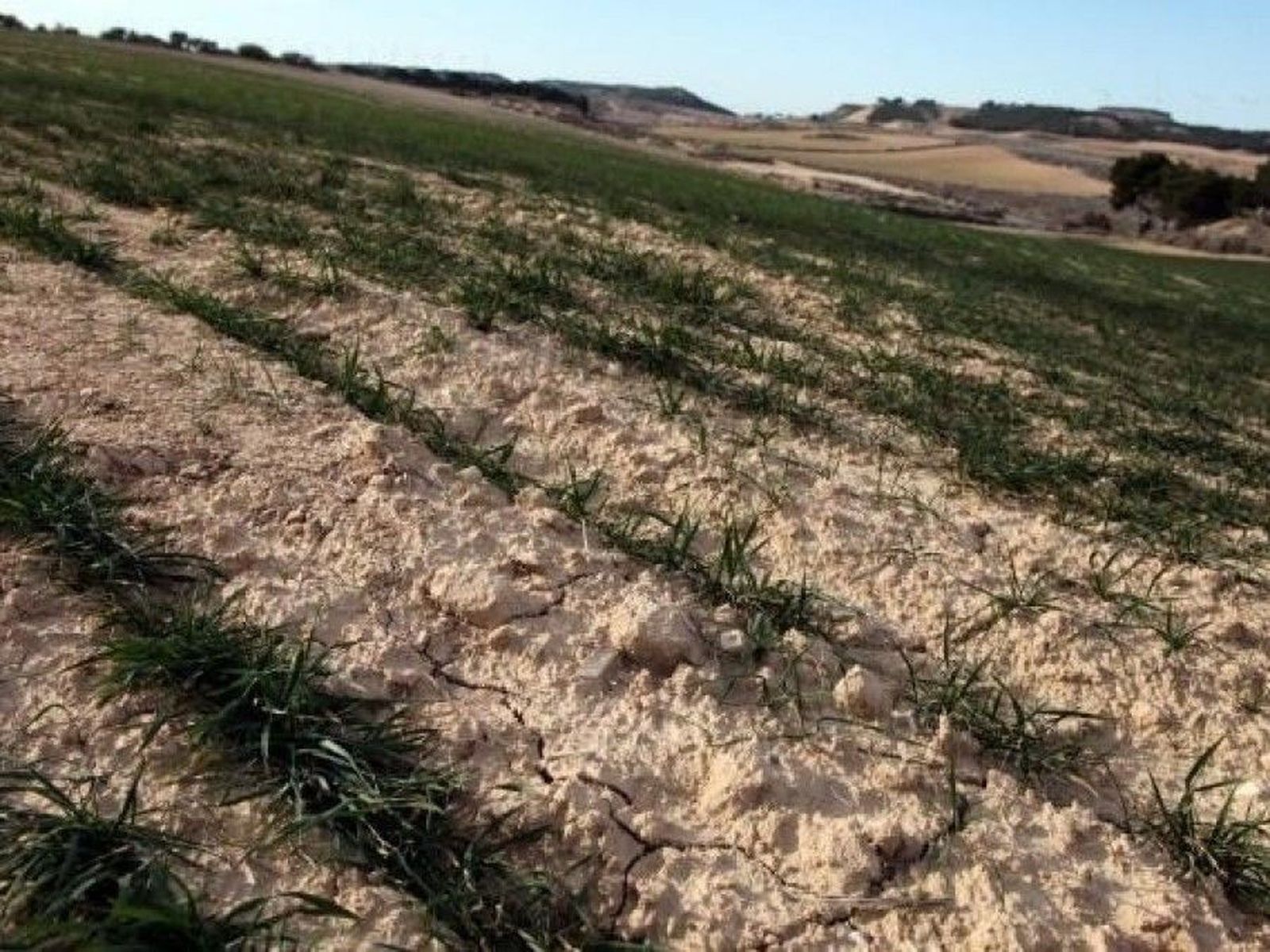 PEARANDALASVILLASIUSequa