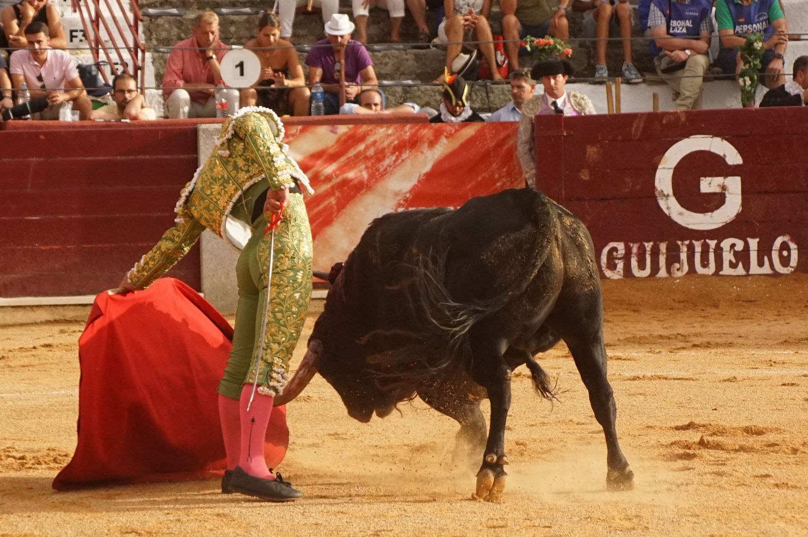 Javier Castaño se despide de Guijuelo y Damián Castaño, su hermano, e Ismael Martín salen a hombros en Guijuelo