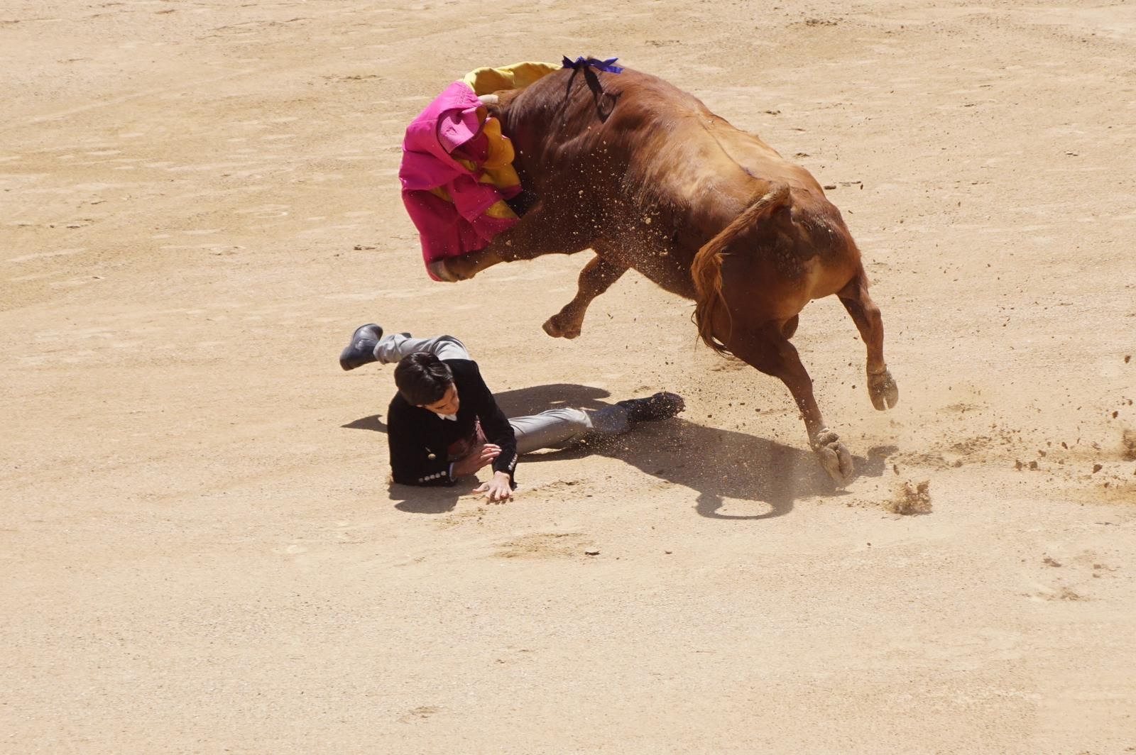 marco-perez-estreno-de-oro-en-las-ventas-6