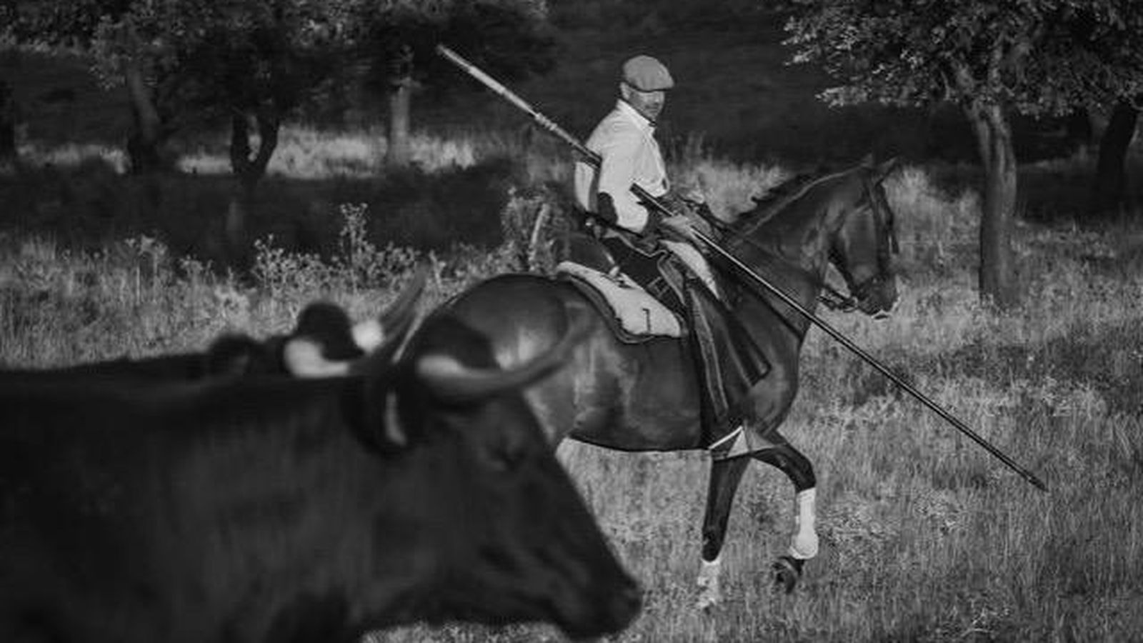 Ángel Calderero, ganadero de Salamanca