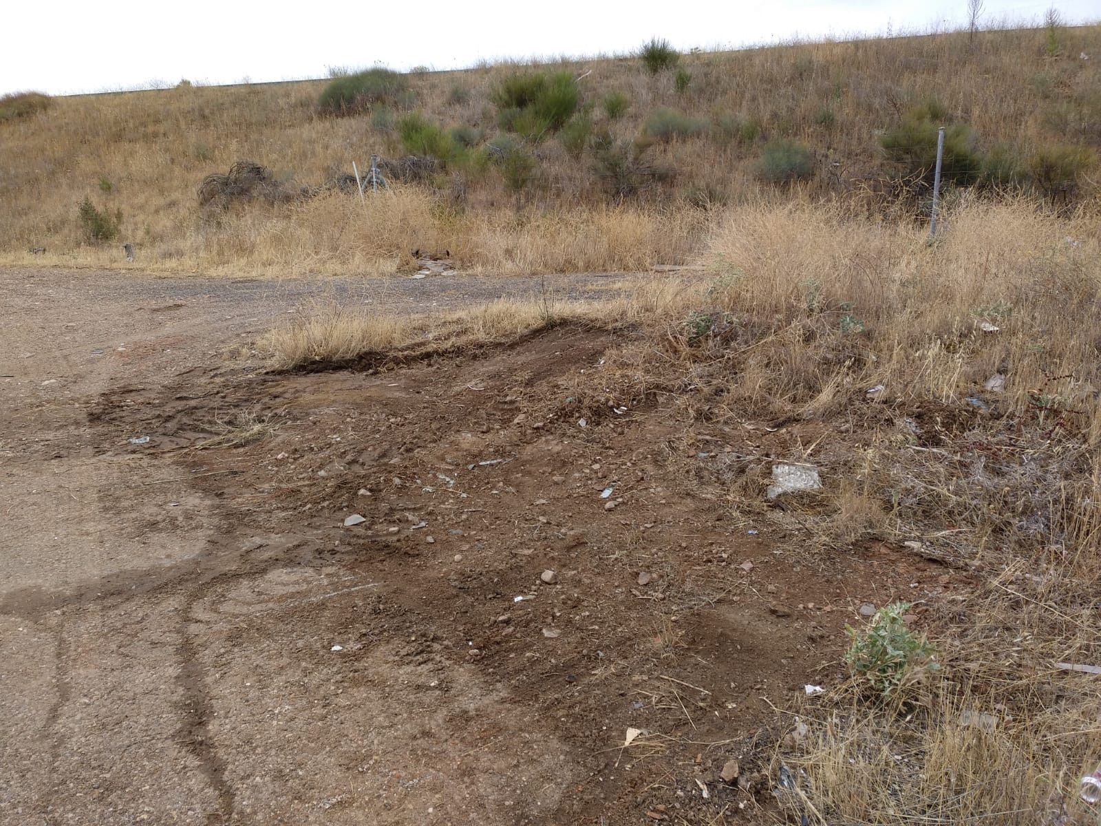 Recogida escombros 2