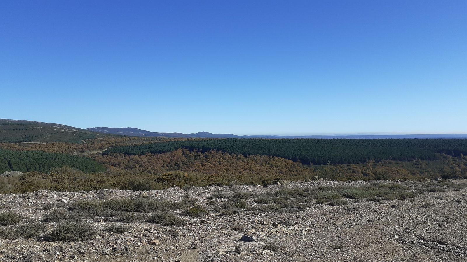 PAISAJE ENTRE JUSTEL Y MUELAS