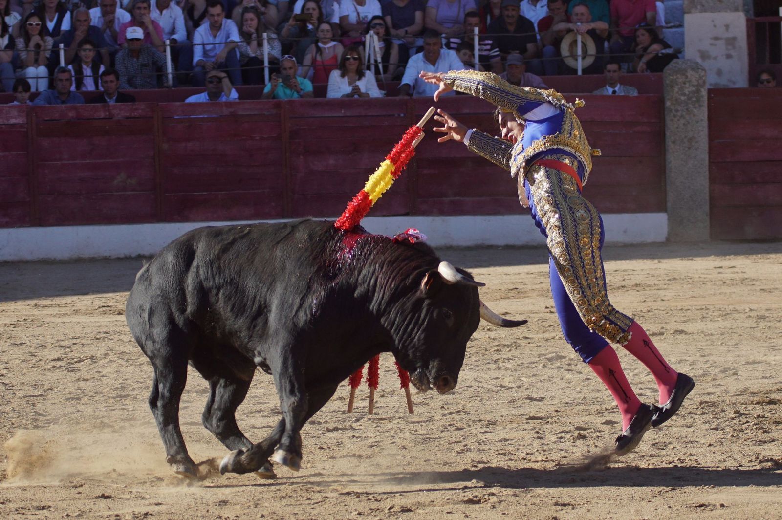 whatsapp-image-2024-06-02-at-22-12-14