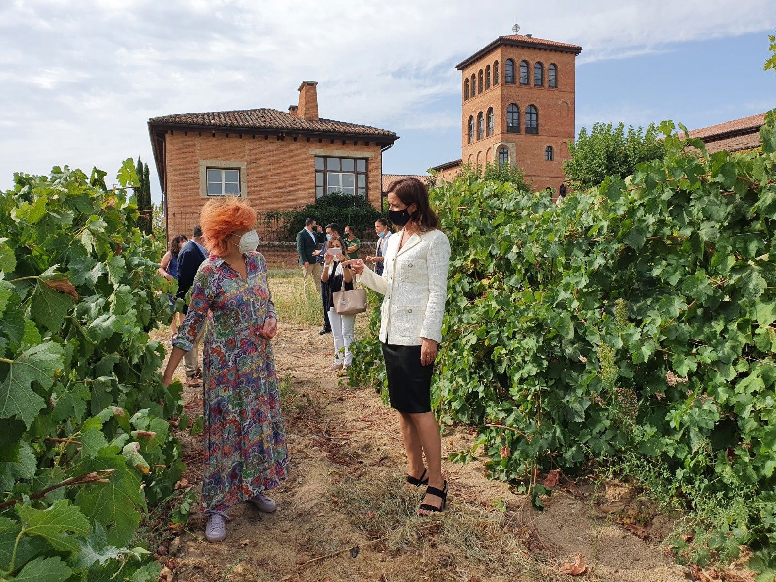 WhatsApp Image 2020 09 14 at 11.58.00