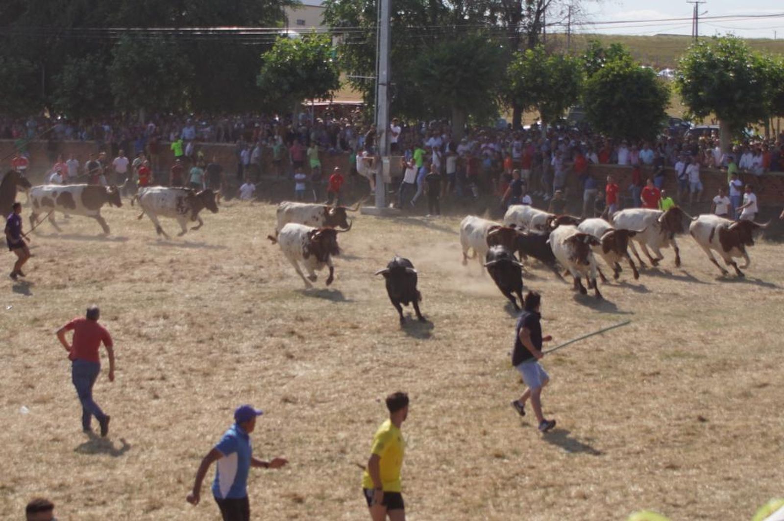 espantes-de-fuentesauco-25