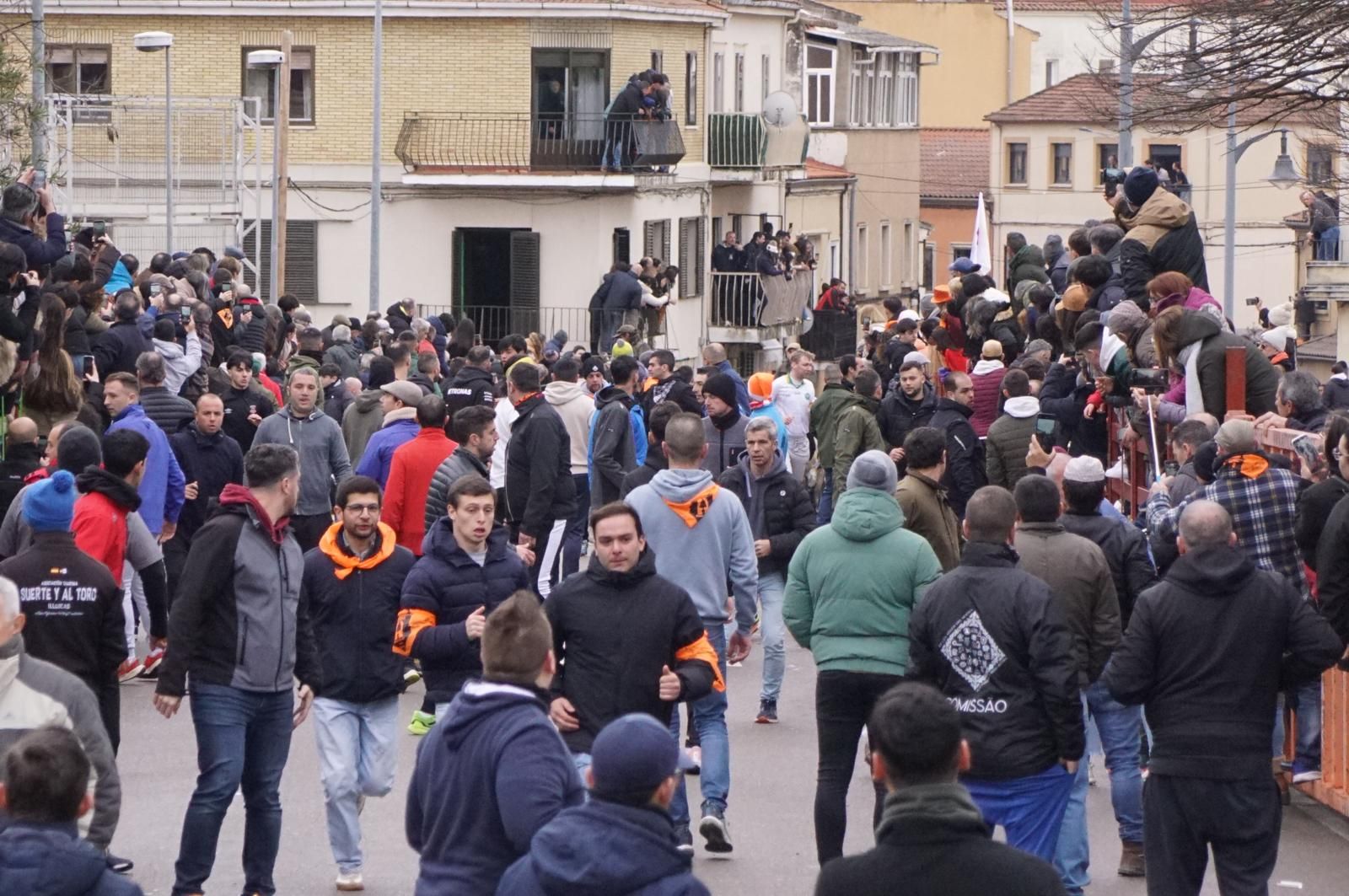 Encierro a Caballo en el Carnaval del Toro 2026 de Ciudad Rodrigo