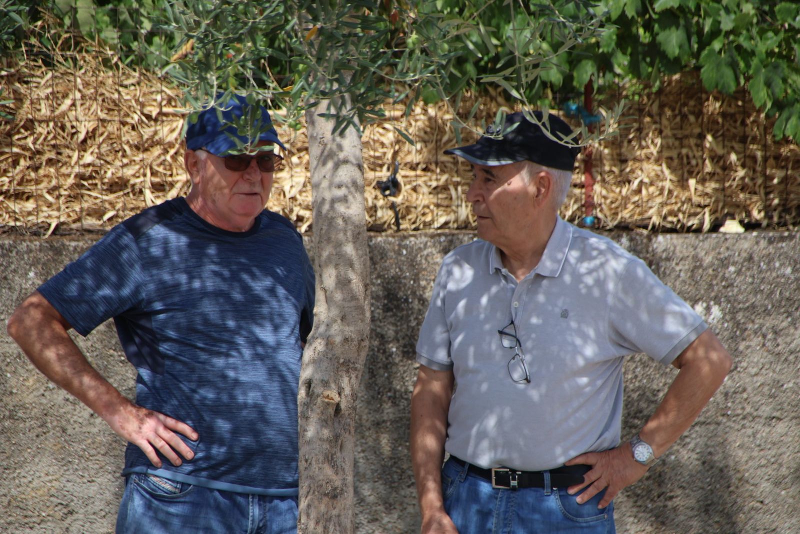 Lumbrales encierro a caballo, dia 2