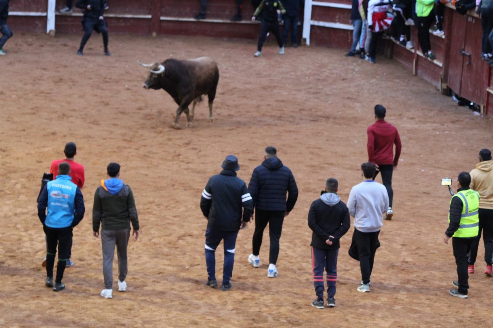 ambiente-y-capea-vespertina-sabado-de-carnaval-en-ciudad-rodrigo-2025-fotos-belen-hurtado-66