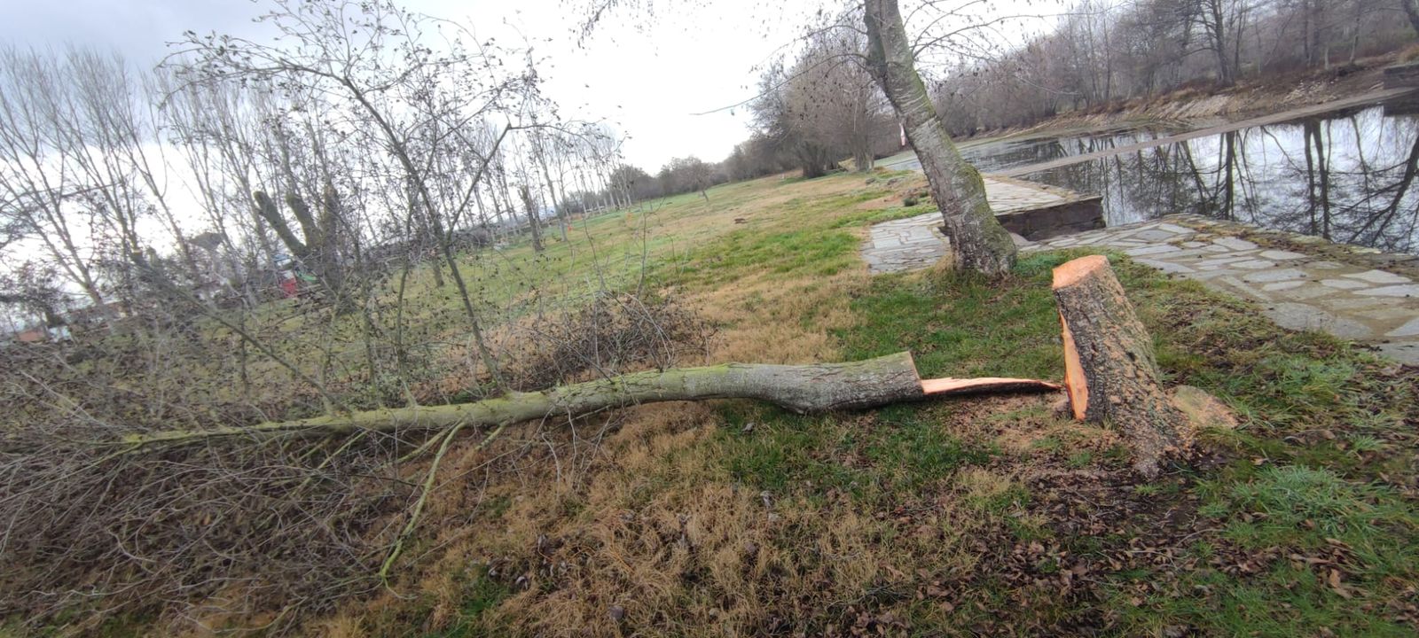 whatsapp-image-2024-01-04-at-13-16-46