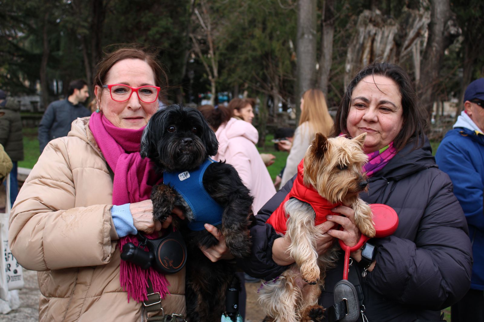 san-anton-bendicion-de-animales-2024-foto-s24h-40