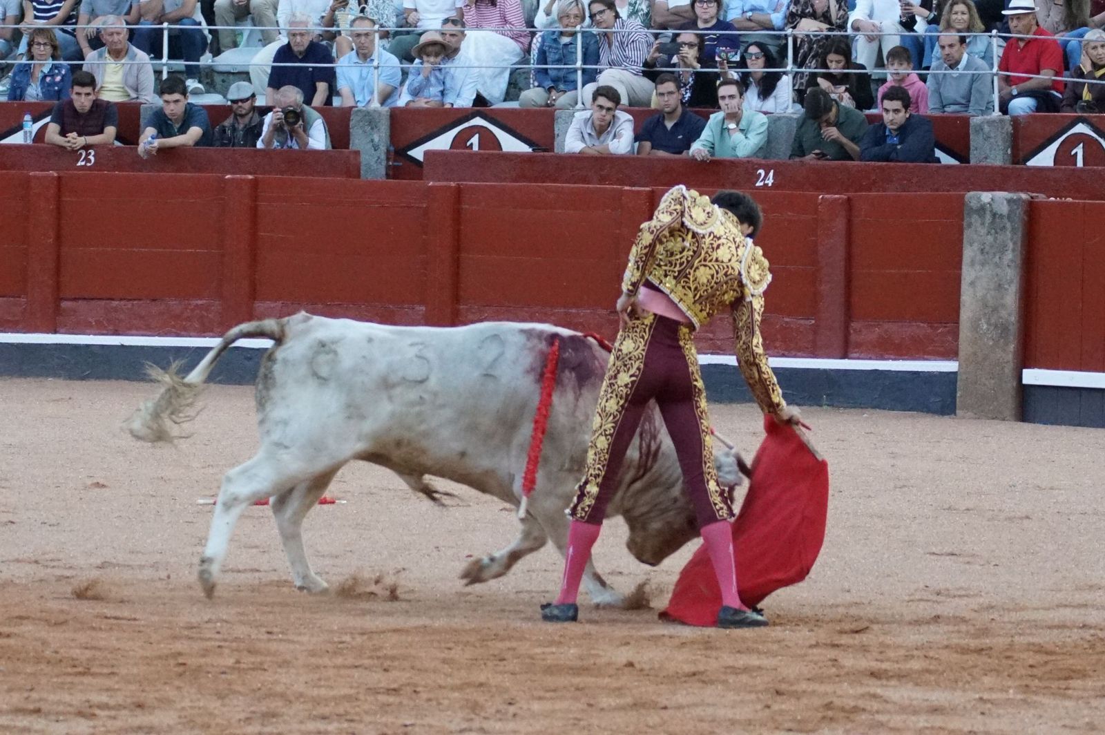 Clase práctica con alumnos de la Escuela de Tauromaquia de Salamanca (Diego Mateos, Noel García y Álvaro Rojo con erales de Esteban Isidro)