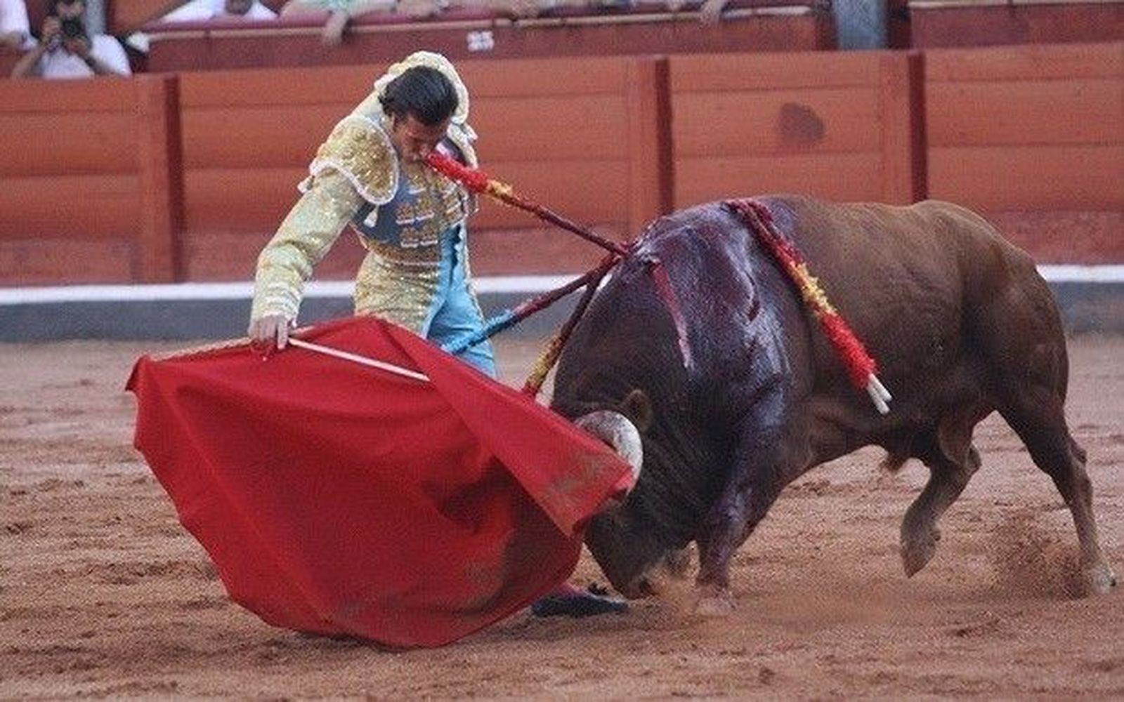 David Mora, premio a la Mejor Faena de la Feria Taurina de Salamanca 2011