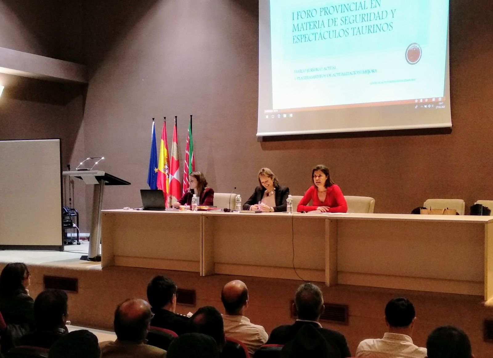 Directora proteccioncivil