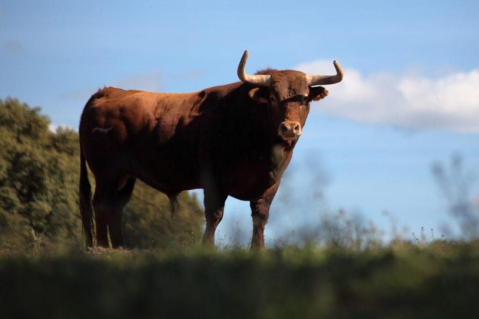 WhatsApp Image 2019 05 07 at 13.57.23