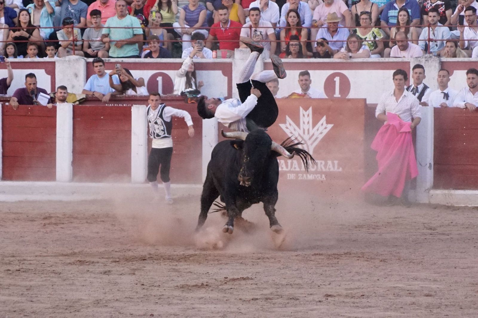 whatsapp-image-2023-07-02-at-22-40-56-1