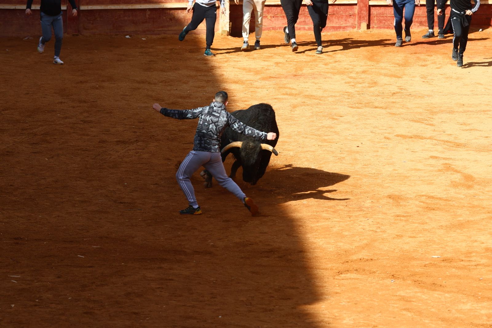 Capea de mañana en el martes del Carnaval del Toro de Ciudad Rodrigo