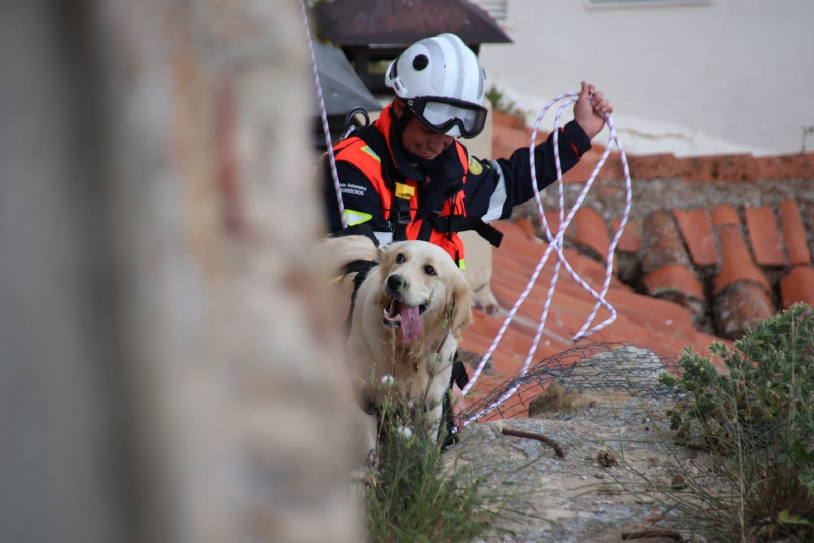 los-bomberos-rescatan-a-un-perro-en-el-jardin-botanico-de-salamanca-fotos-andrea-m-12